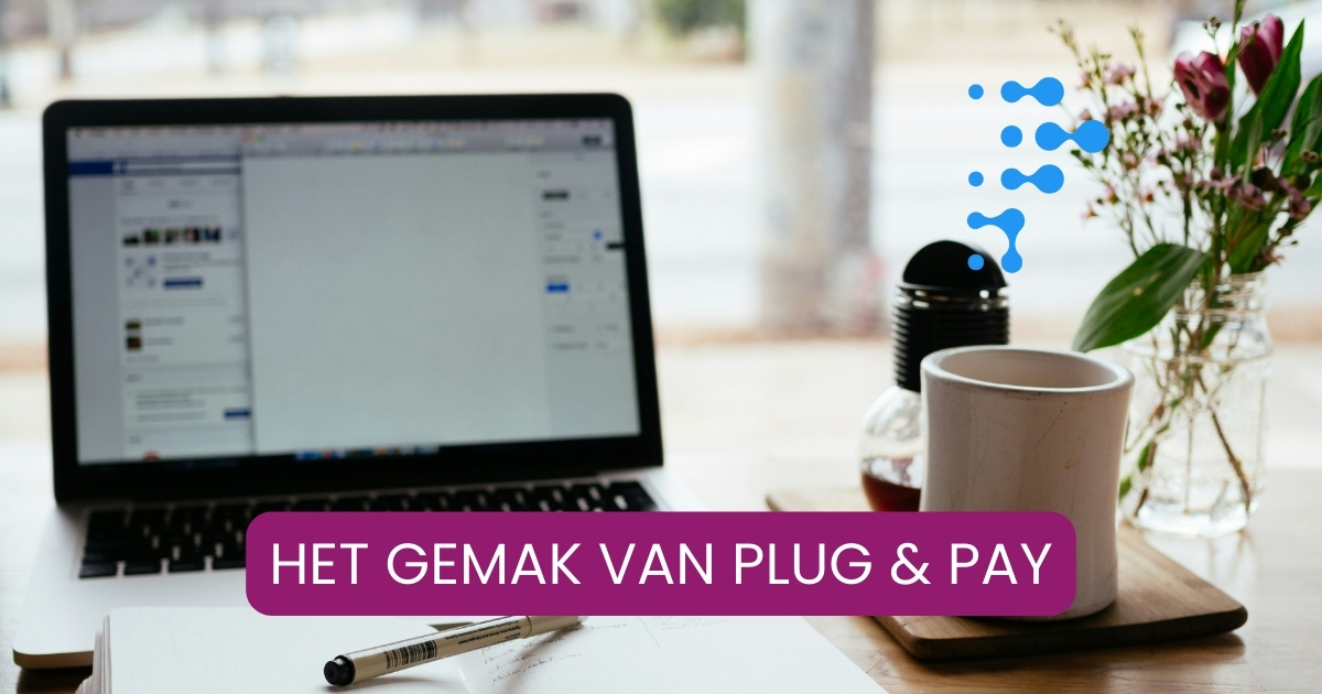 Het Gemak van Plug & Pay, Waarom ik er graag mee werk
